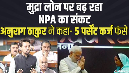 PM Mudra Yojana में बढ़ते NPA खराब कर सकती है बैंकों की सेहत