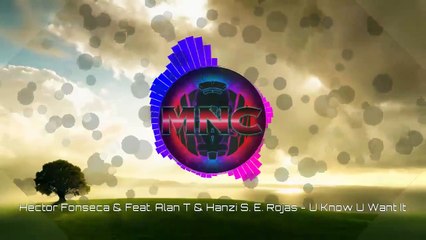 Hector Fonseca & Feat. Alan T & Hanzi S. E. Rojas - U Know U Want It