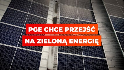 PGE chce przejść na "zieloną" energię