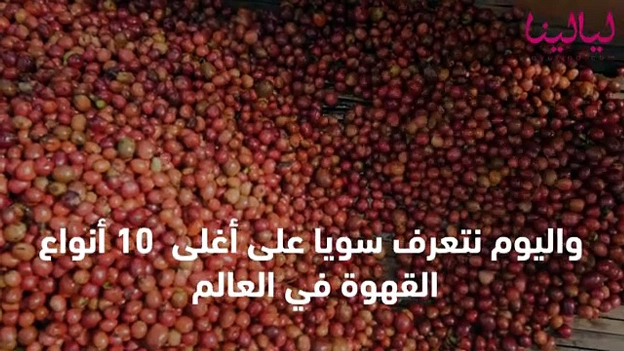 أغلى 10 أنواع قهوة في العالم