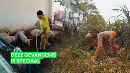Een gevangenis zoals deze bestaat haast niet