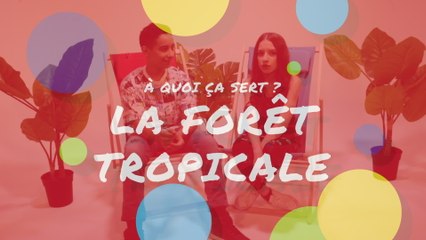 Kids Love Disney - A quoi ça sert ? La forêt tropicale
