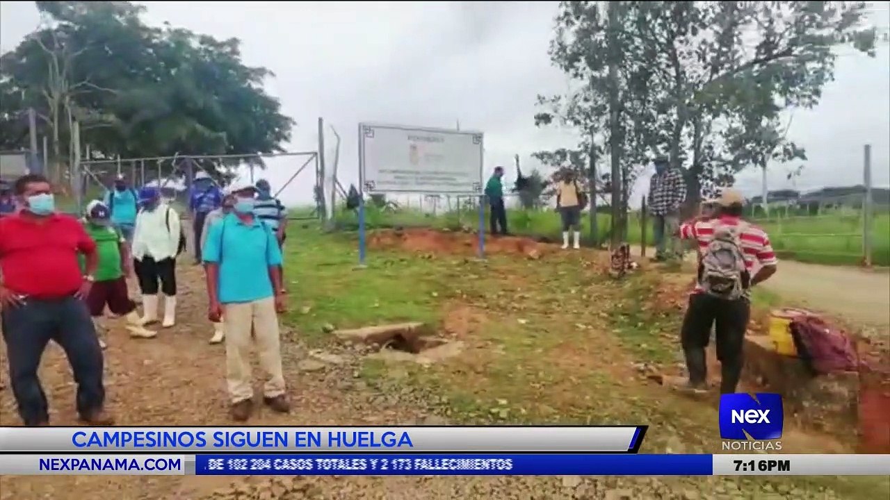 Campesinos se mantienen en huelga - Nex Noticias