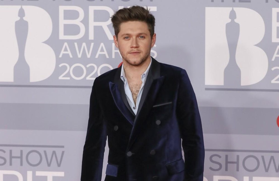 Niall horan: katy perry hat seine karriere geformt