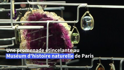 Pierres précieuses, l'éblouissante symbiose entre science et art