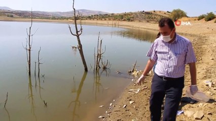 Manisa'da sular çekildi, binlerce balık telef oldu