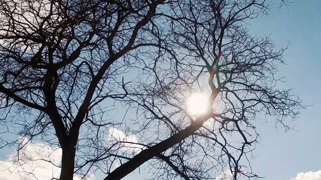 Siente el otoño, vístelo en El Corte Inglés con Bárbara Lennie