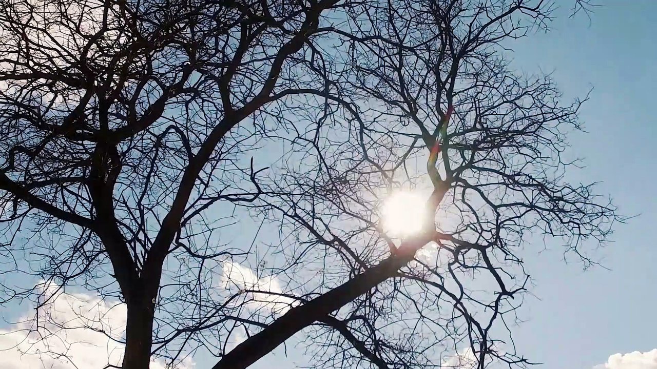 Siente el otoño, vístelo en El Corte Inglés con Bárbara Lennie