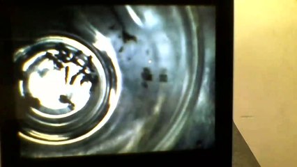 Bolsonaro, da ,Bronca, na, Equipe ,de, Guedes, e, Proibe, Falar, do, RENDA, BRASIL  ,TO,TOO, ou, TWO