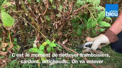 Roland Motte, jardinier : gérer les déchets de vos tailles