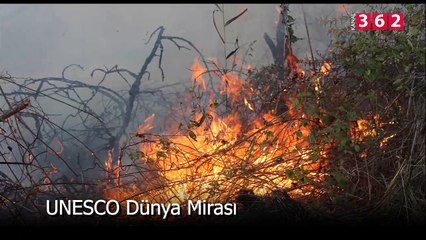 Kızılırmak Deltası Kuş Cenneti'nden Alevler Yükseldi...