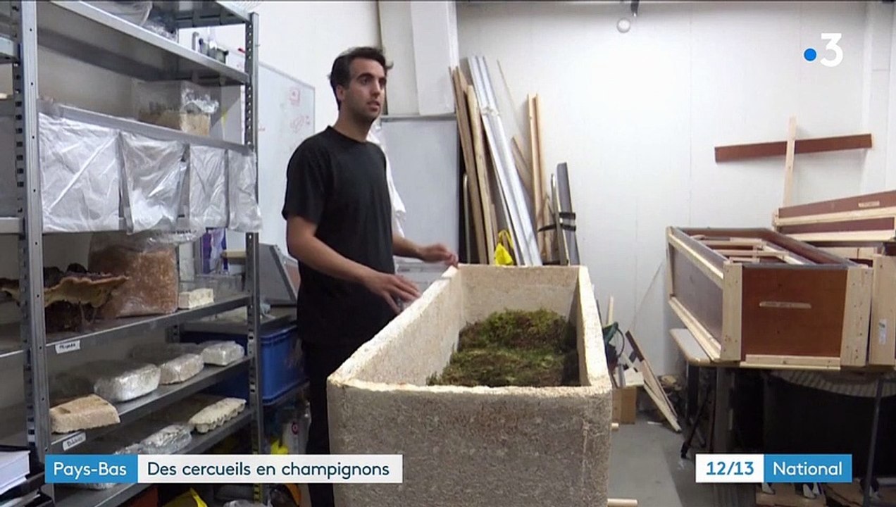 Pays-Bas : des cercueils écologiques en champignons