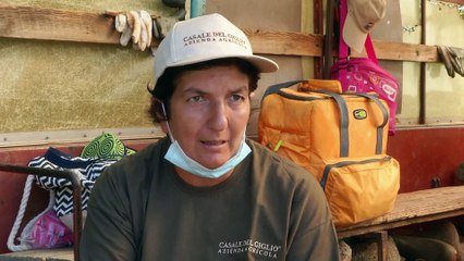 A járvány tavasszal ártott, nyáron segített az olasz borászoknak