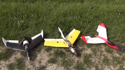 Lidl Segelflieger EDF-Newflidl Erstflug Modellflugzeug RC Plane
