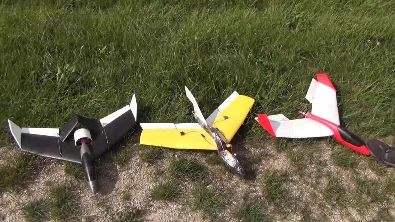 Lidl Segelflieger EDF-Newflidl Erstflug Modellflugzeug RC Plane