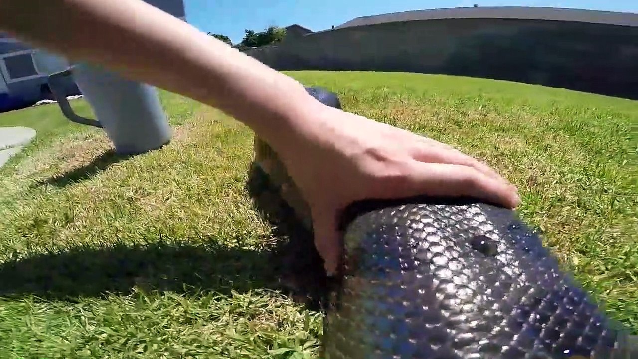 Son anaconda est en train de muer dans son jardin