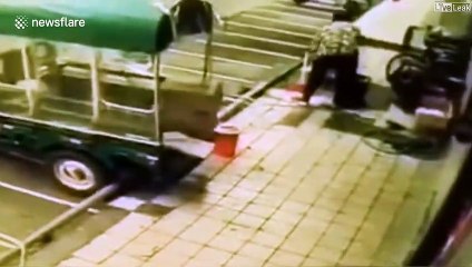 Cette femme chinoise va avoir beaucoup de chance : chute d'arbre