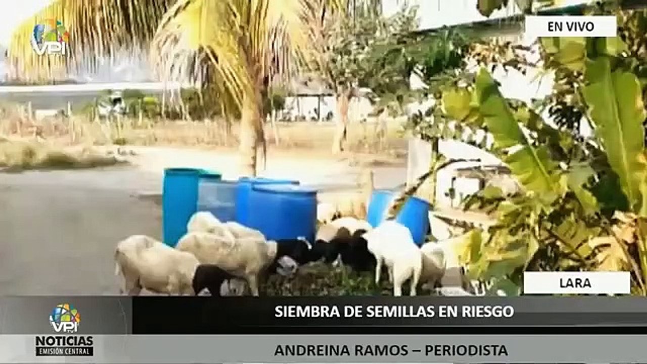 EN VIVO - Noticias VPItv Emision Central - Jueves 17 de Septiembre