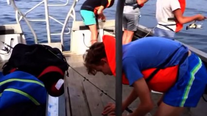 YCPR Marseille 2020 : Stages été 2020 YCPR