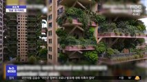 [이슈톡] 녹색식물로 둘러싸인 중국 아파트