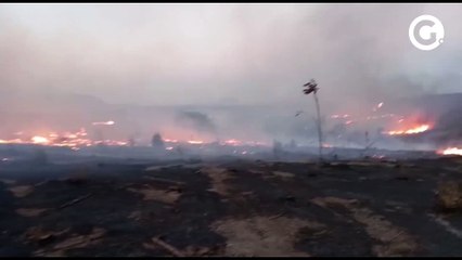 Incêndio em Nova Venécia