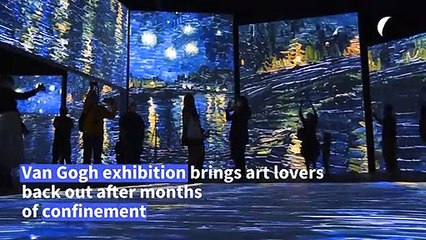 Virus outbreak forces Van Gogh exhibit relocation to Sydney