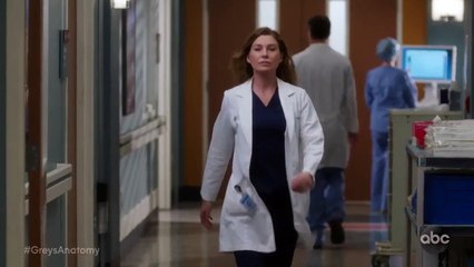 Grey's Anatomy Season 17 Teaser Promo