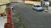 Cães atacam criança em Santa Cecília, em Vitória