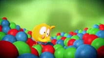 Where's Chicky- Funny Chicky 2020 - IN DANGER - Chicky Cartoon in English for Kids_aO9zGO0