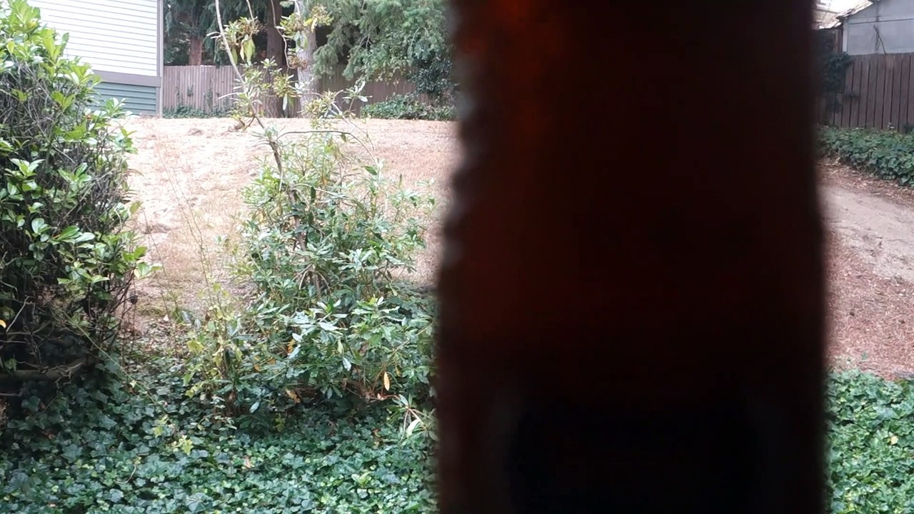 Carbonated A&W powder