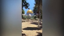 Kabar Buruk dari Palestina, Masjid Al-Aqsa Kembali Ditutup