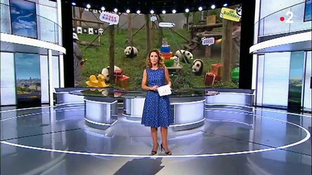 Regardez le dernier journal de 13h sur France 2 de Marie-Sophie Lacarrau avant son arrivée sur TF1 pour remplacer Jean-Pierre Pernaut