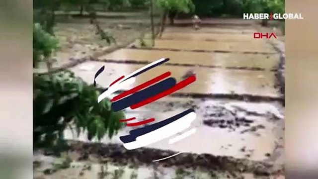 Hint siyasetçi çamurda yıkanmanın koronavirüse karşı bağışıklığı güçlendirdiğini iddia etti