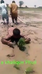 Seeding and Harvesting human machine