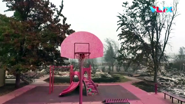 Langit Amerika Serikat Diselimuti Udara Beracun