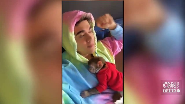 Son Dakika Haberleri: Yasağa rağmen maymun alan Meriç İzgi gözaltına alındı | Video