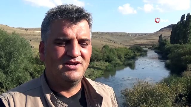 Yüzlerce yeşilbaş yaban ördeği bir arada