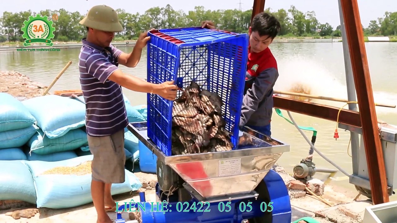 Chế tạo máy xay gà nguyên con làm thức ăn chăn nuôi|Máy xay xương lợn bò