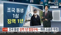 조국 동생 1심 징역 1년 법정구속…허위 소송은 무죄