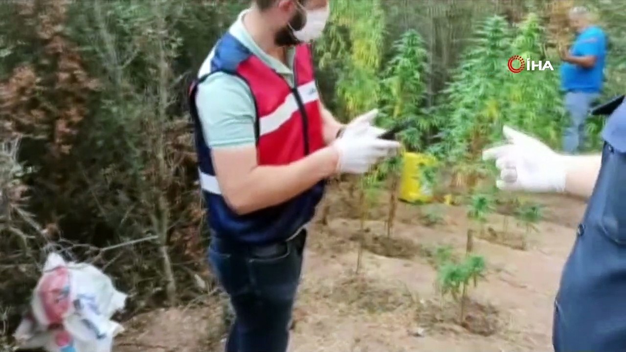 Manisa’da drone ve narkotik köpek destekli uyuşturucu operasyonu