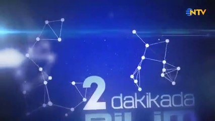 Kurşun kalemler zehirli midir ? | İki Dakikada Bilim • Üç On Dört