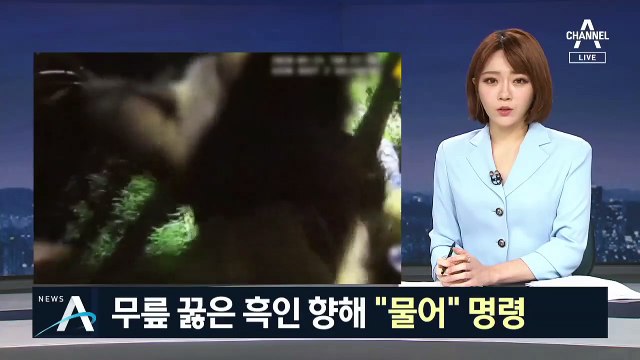 무릎 꿇은 흑인에…“물어” 경찰견 공격 명령한 美 백인 경찰