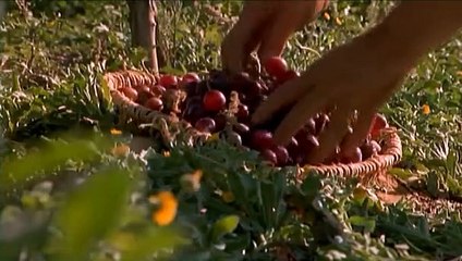 Ancient Rome (4of8)- Grasp of an Empire