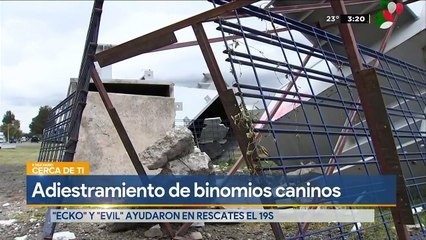 Adiestramiento de binomios caninos