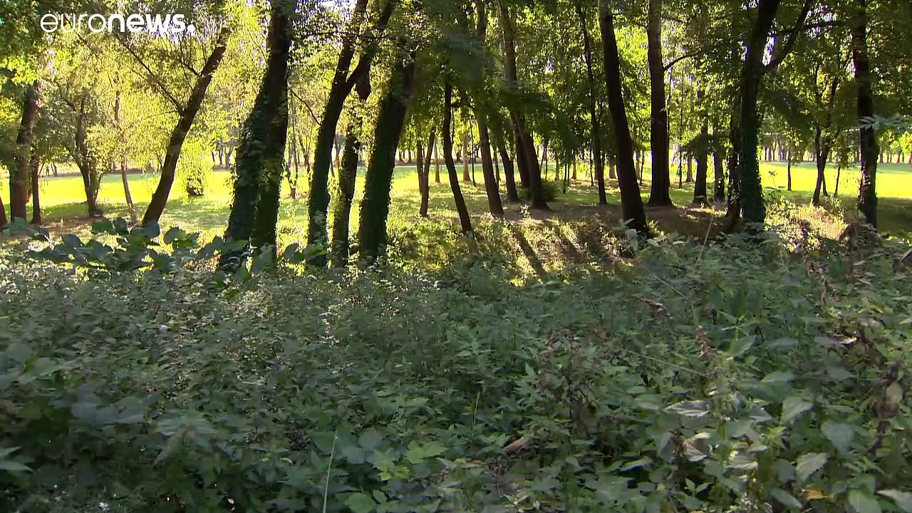 Budapest, la diga della discordia: gli ambientalisti insorgono a tutela dell'isola di Obuda