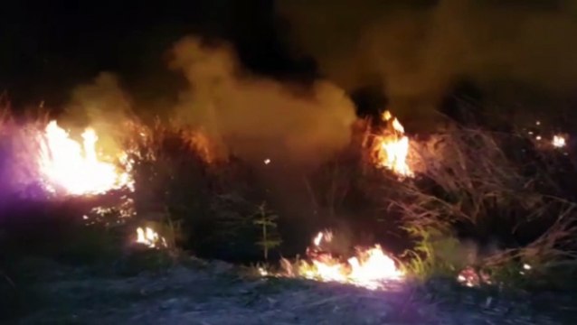 Incêndio de grandes proporções atinge área de vegetação no Cascavel Velho