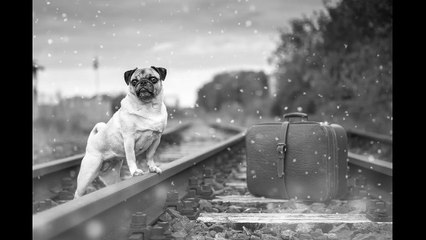 English Synonyms and Antonyms, Section 41: Make to Meter