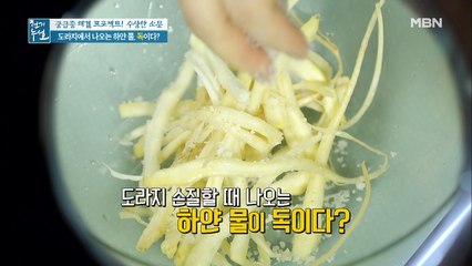 도라지에서 나오는 하얀 물, 독이다???