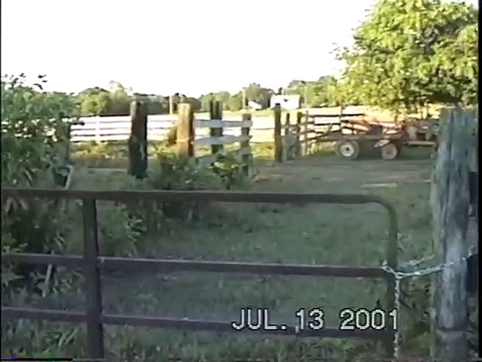 Hay 2001