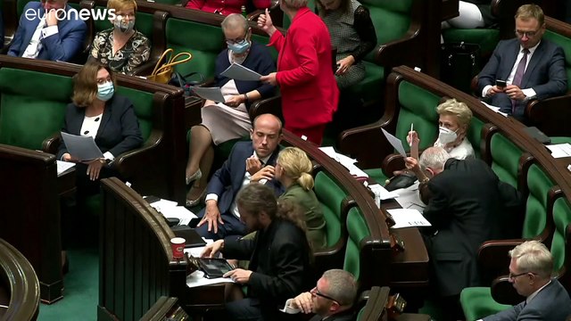 Polonia spaccata per difendere un gatto. Il Paese rischia veramente di andare la voto anticipato